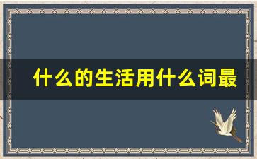 什么的生活用什么词最恰当