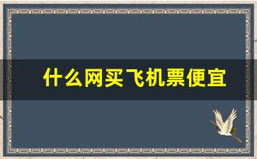 什么网买飞机票便宜