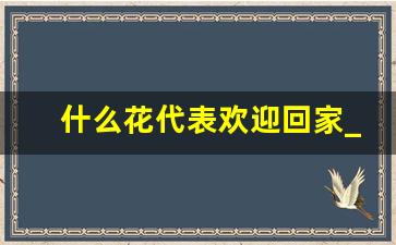 什么花代表欢迎回家_孕妇哪些鲜花不能接触