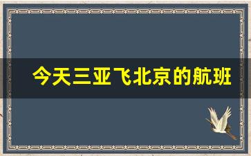 今天三亚飞北京的航班动态_三亚到北京飞机航班时刻表