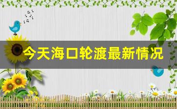 今天海口轮渡最新情况_海口新港码头最新消息