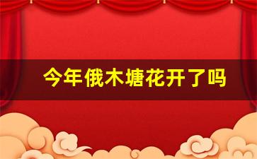 今年俄木塘花开了吗