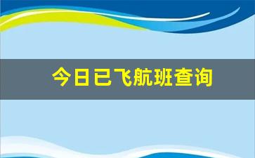 今日已飞航班查询