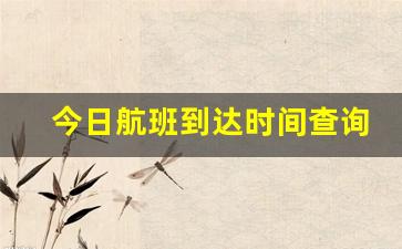 今日航班到达时间查询_武汉机场航班动态查询