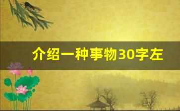 介绍一种事物30字左右小练笔_从几个方面介绍一种事物