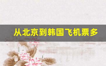 从北京到韩国飞机票多少钱_北京到首尔飞机用几个小时