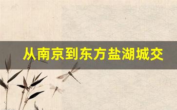 从南京到东方盐湖城交通路线_南京到东方盐湖城