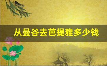 从曼谷去芭提雅多少钱_去芭提雅玩需要多少钱