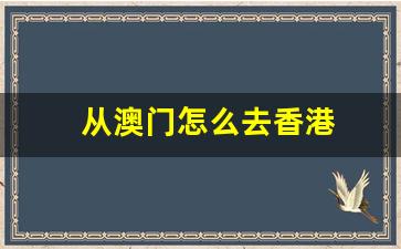 从澳门怎么去香港