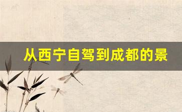 从西宁自驾到成都的景点_从成都到西宁要经过哪些地方