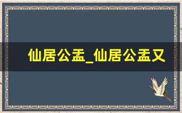 仙居公盂_仙居公盂又称