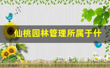 仙桃园林管理所属于什么单位_园林处是什么单位