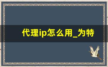 代理ip怎么用_为特定网址设置代理ip