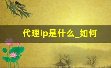 代理ip是什么_如何开代理ip