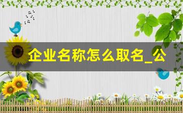 企业名称怎么取名_公司取名生成器免费