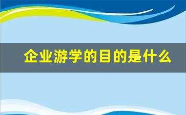 企业游学的目的是什么_游学的概念