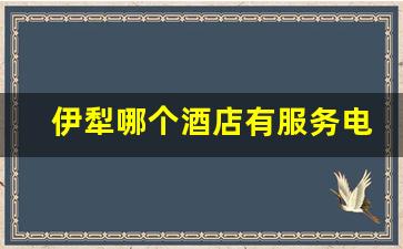 伊犁哪个酒店有服务电话多少_伊宁市利群路18巷有啥服务