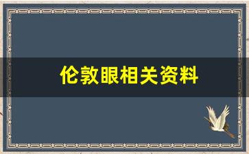 伦敦眼相关资料