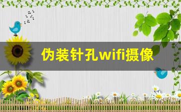 伪装针孔wifi摄像头