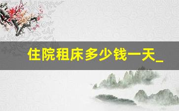 住院租床多少钱一天_医院租床多少钱一个