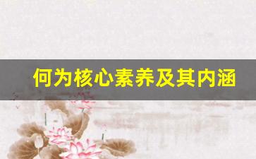 何为核心素养及其内涵_核心素养的基本内涵