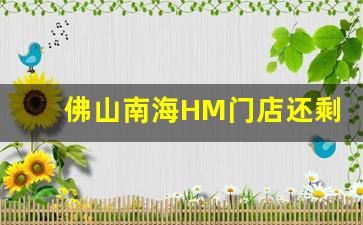 佛山南海HM门店还剩几家_HM在海口有几家店