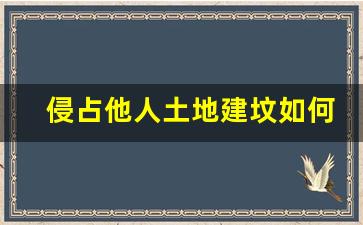 侵占他人土地建坟如何起诉