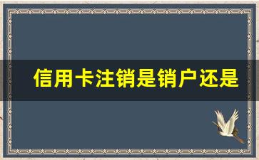 信用卡注销是销户还是销卡_信用卡销户和销卡有什么区别