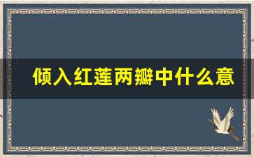 倾入红莲两瓣中什么意思