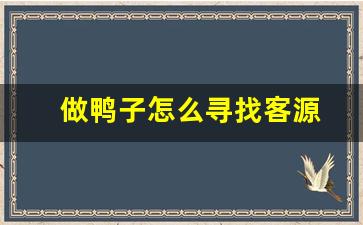 做鸭子怎么寻找客源