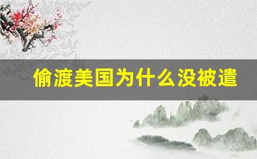 偷渡美国为什么没被遣返_中国偷渡到美国会遣返吗