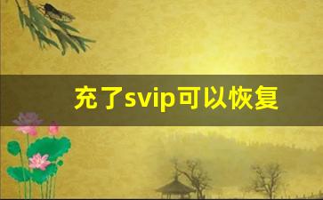 充了svip可以恢复聊天记录吗_SVIP能看到被挡访客吗