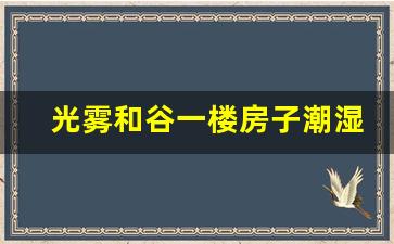 光雾和谷一楼房子潮湿吗_我所写下的是潮湿的雾