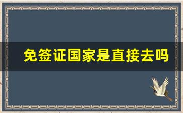 免签证国家是直接去吗_免签国家是买了机票就能去吗