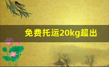 免费托运20kg超出的怎么收费_手提10公斤可以上飞机吗