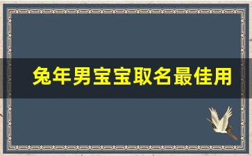 兔年男宝宝取名最佳用字