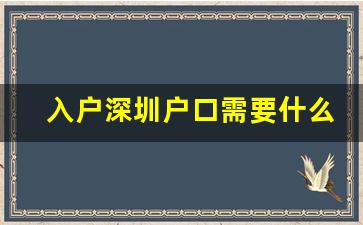 入户深圳户口需要什么条件2023