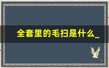 全套里的毛扫是什么_360度旋转口服务