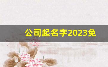 公司起名字2023免费八字起名周易