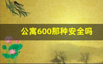 公寓600那种安全吗_为什么扫黄只扫宾馆不扫酒店