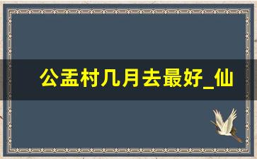 公盂村几月去最好_仙居公盂景区几月份去