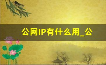 公网IP有什么用_公网ip段