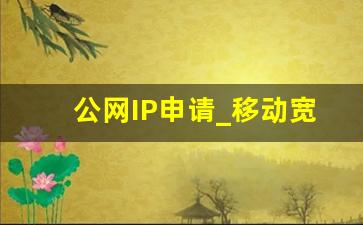 公网IP申请_移动宽带公网ip申请条件