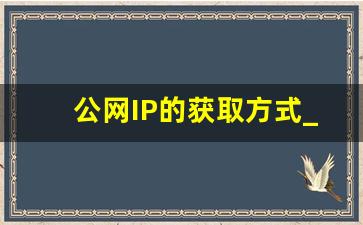 公网IP的获取方式_公网ip能干嘛