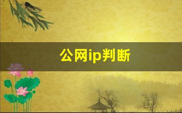 公网ip判断