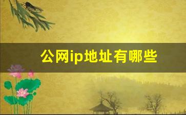 公网ip地址有哪些