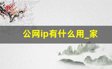 公网ip有什么用_家用宽带公网好还是私网好