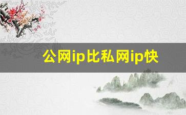 公网ip比私网ip快吗_将私网地址转为公网ip