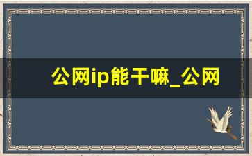 公网ip能干嘛_公网IP有什么用