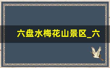 六盘水梅花山景区_六盘水梅花山好玩吗值得去吗